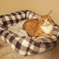 Thumbnail photo of Tuffnut (& Family) #3