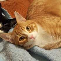 Thumbnail photo of Tuffnut (& Family) #4