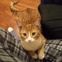 Thumbnail photo of Tuffnut (& Family) #1