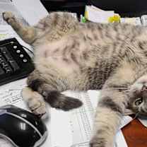 Thumbnail photo of Wilbur #2