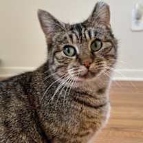 Thumbnail photo of BLOSSOM #2