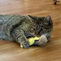 Thumbnail photo of BLOSSOM #3