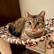 Thumbnail photo of BLOSSOM #4