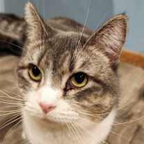 Thumbnail photo of Fern #1
