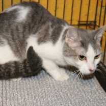 Thumbnail photo of Pearl #2