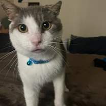 Thumbnail photo of Jack #1