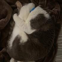Thumbnail photo of Jack #2