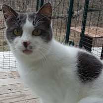 Thumbnail photo of Celeste #4