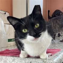 Thumbnail photo of Shayna #2