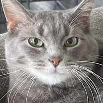 Thumbnail photo of Stella #1