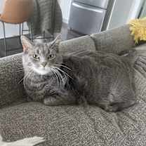 Thumbnail photo of Stella #4