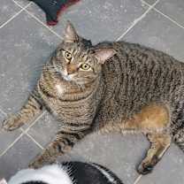 Thumbnail photo of Daniel #3