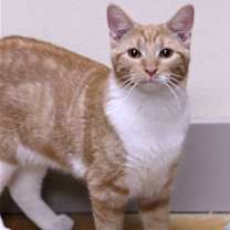 Thumbnail photo of Gabriel #3