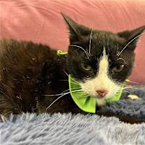 Thumbnail photo of Javier #1