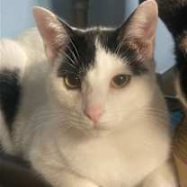 Thumbnail photo of Keanu #1