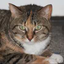 Thumbnail photo of Zena #1