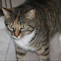 Thumbnail photo of Zena #3