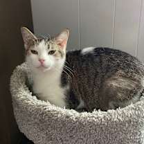 Thumbnail photo of Berry #1