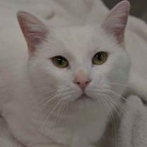 Thumbnail photo of Casper #1