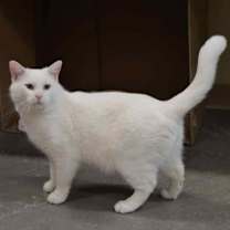 Thumbnail photo of Casper #3