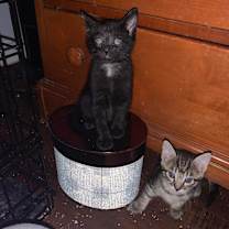 Thumbnail photo of SUNNY #3