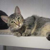 Thumbnail photo of Bess #2