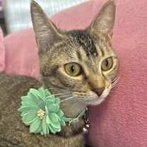 Thumbnail photo of Bess #3