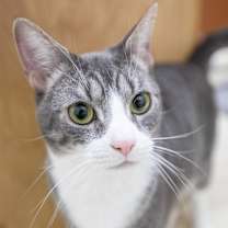 Thumbnail photo of Tubbie #2