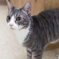 Thumbnail photo of Tubbie #3