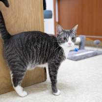 Thumbnail photo of Tubbie #4