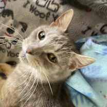 Thumbnail photo of Nadia #2