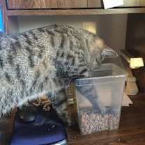 Thumbnail photo of Spice #2