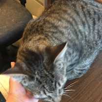 Thumbnail photo of Spice #3