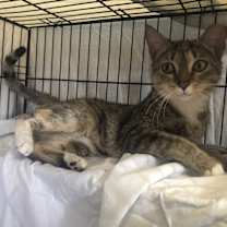 Thumbnail photo of Carmel #3