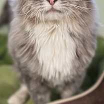 Thumbnail photo of Marty #1