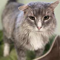 Thumbnail photo of Marty #2