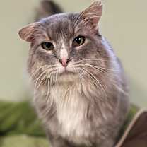 Thumbnail photo of Marty #3