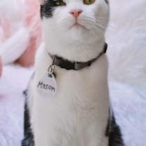 Thumbnail photo of Mason #2