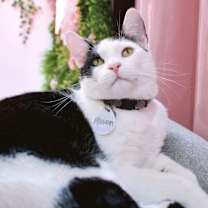 Thumbnail photo of Mason #1