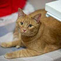 Thumbnail photo of Sugar #1