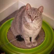 Thumbnail photo of Kassidy #3