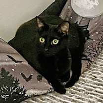 Thumbnail photo of Sassy Sally #1