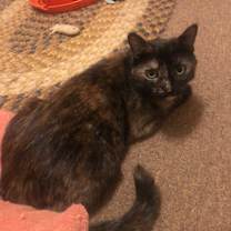 Thumbnail photo of Bonnie #1