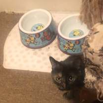 Thumbnail photo of Bonnie #2