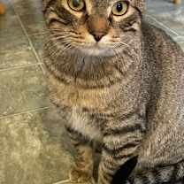 Thumbnail photo of Reginald #1