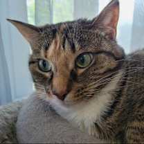 Thumbnail photo of Zena #4
