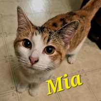 Thumbnail photo of Mia #3
