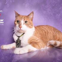 Thumbnail photo of COLTON #1