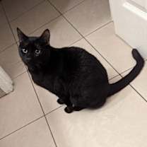 Thumbnail photo of Salem C. #1