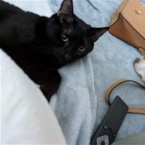 Thumbnail photo of Salem C. #2